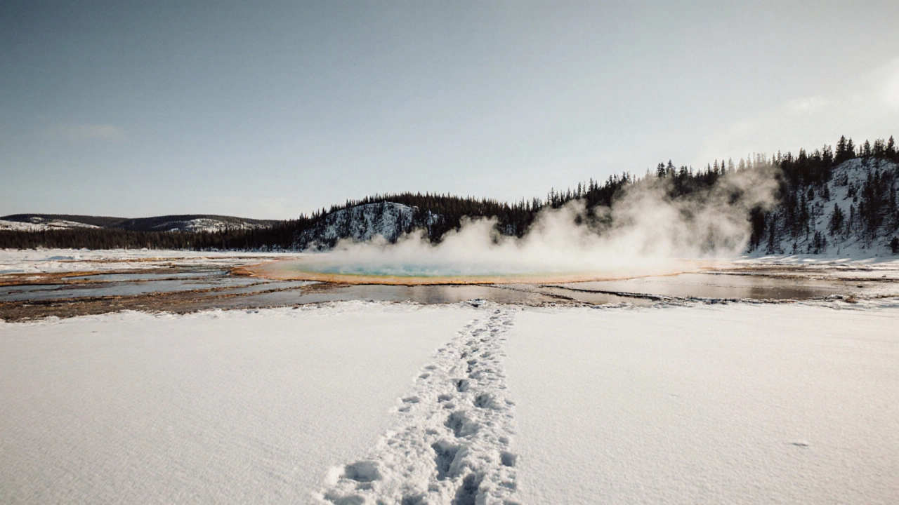 Зимний Йеллоустон: снег, пар из гейзеров и одинокие следы в безлюдной природе.