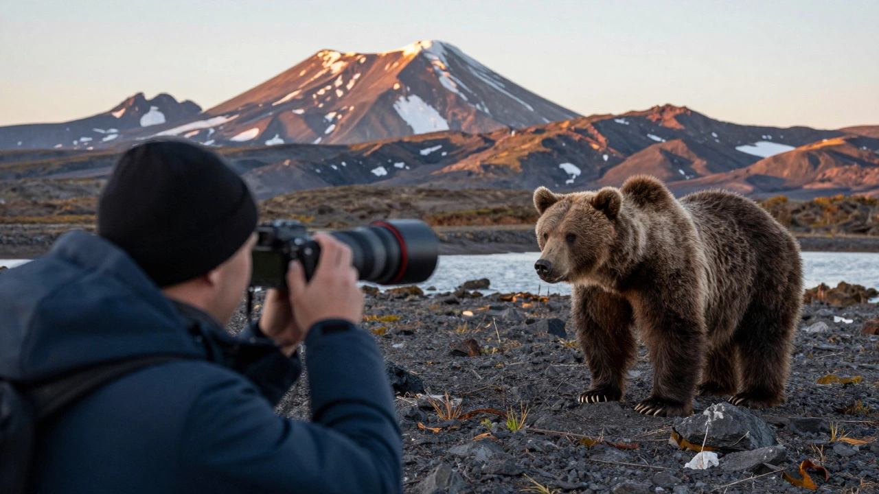 Турист фотографирует медведя с безопасного расстояния в Камчатке